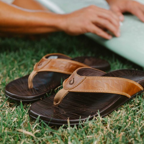 Hikianalia - Tan / Dark Java - Image 2