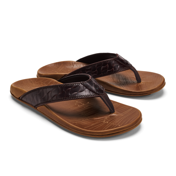 Hikianalia  -  Dark Java / Tan - Image 3