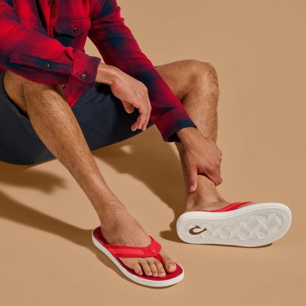Leeward - Red Lava - Image 5