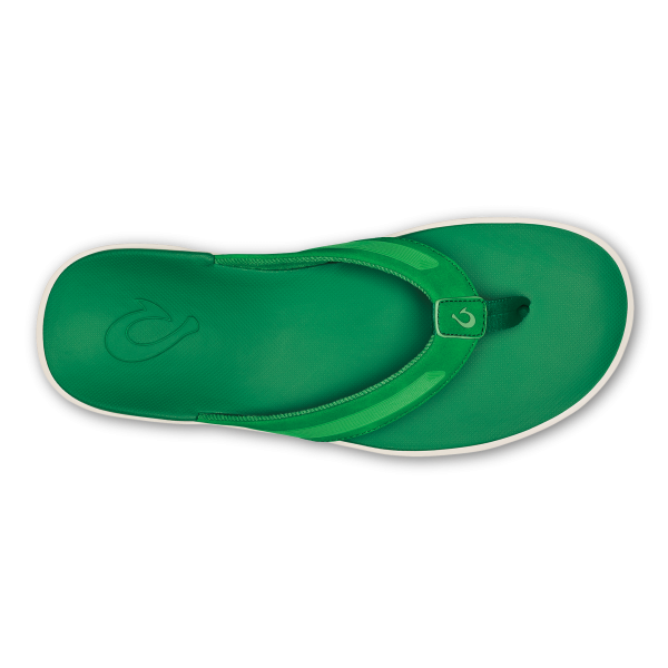 Leeward - Bamboo - Image 7