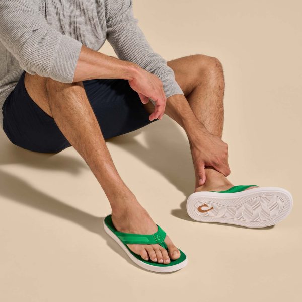 Leeward - Bamboo - Image 5