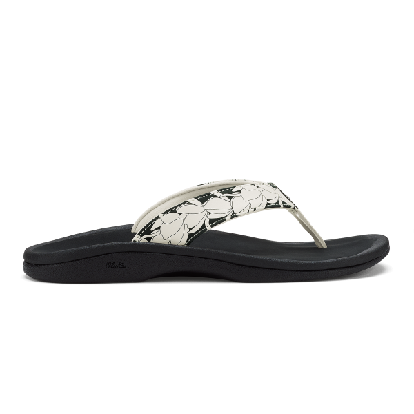 ‘Ohana - Lava Rock / Pa‘i