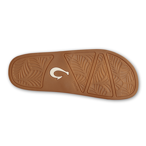 Pākea - Fox - Image 8